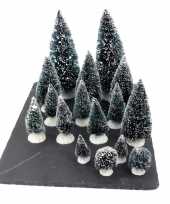 Kerstdorp onderdelen kleine miniatuur set van 16x boompjes