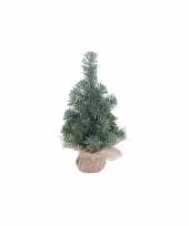 Kleine kerstboom met houten voet